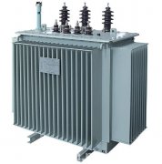 Advantages and disadvantages of dry-type transformers and oil-immersed transformers