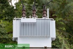 How to check and maintain 10kV transformer?